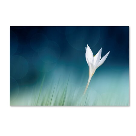 Trademark Fine Art Doris Reindl 'Lonely' Canvas Art, 22x32 1X03404-C2232GG